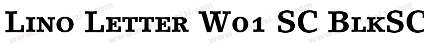 Lino Letter W01 SC BlkSC Regular字体转换